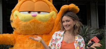 Garfield invade AdoroCinema, TudoGostoso e Patas da Casa para divulgar novo filme